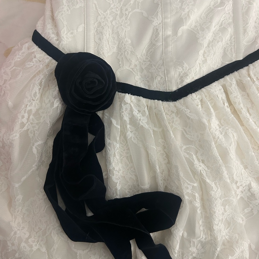 LoveShackFancy Buster Strapless Velvet-Trimmed Mini Dress- size 12 - Picture 3 of 6